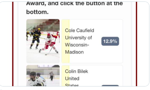 Il faut voter EN BLOC pour Cole Caufield!!!!