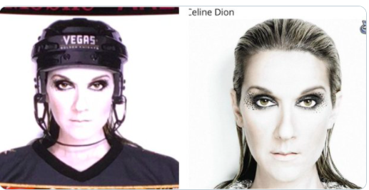 Céline Dion tente de CALMER le SCANDALE...