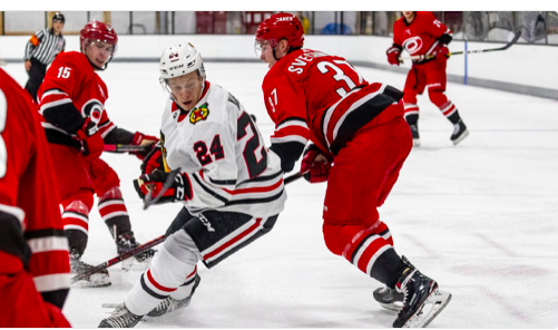 Andrei Svechnikov fait déjà des siennes..