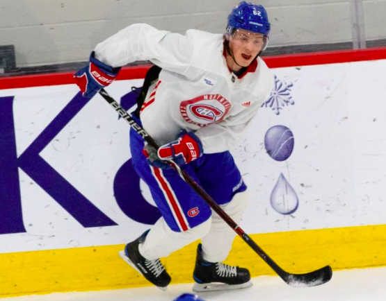 Artturi Lehkonen DÉTRUIT par Dany Dubé...