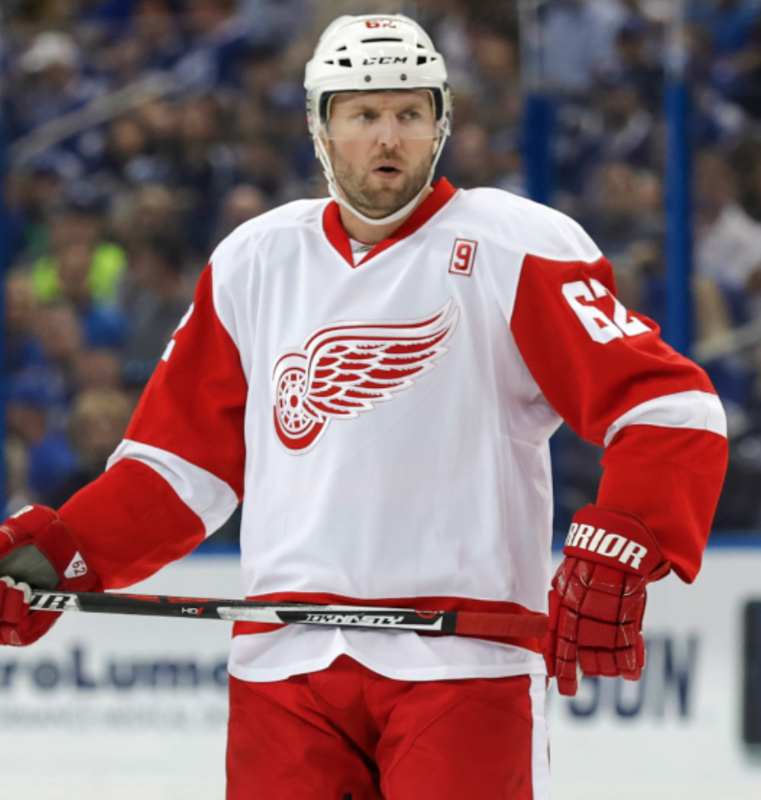 Ça ne s'arrange pas pour les Red Wings...