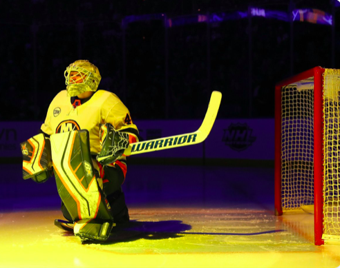 Carey Price...Même pas dans le TOP 10 de la STATS la plus IMPORTANTE chez un gardien.