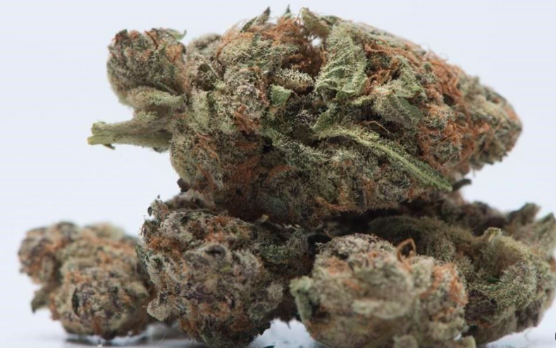 De plus en plus de joueurs utilisent la MARIJUANA pour soigner leur douleurs...maux de tête...