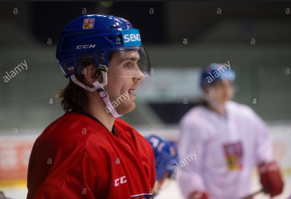 Filip Zadina aurait déçu le CH...