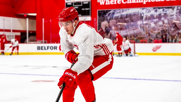 Filip Zadina tente d'