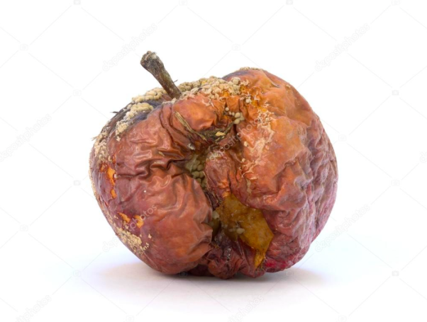 La BEUVERIE...des POMMES POURRIES....