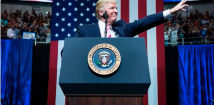  La GANG de Crosby...des PETITS CHIENS de POCHE de Donald Trump..