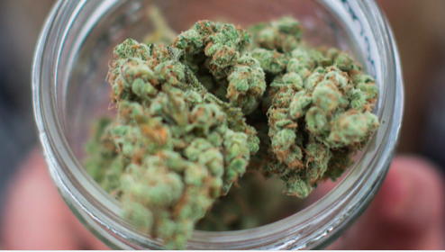 La LÉGALISATION du POT... Va tout changer dans le vestiaire du CH?