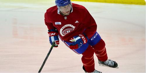La LNH devrait rajouter une RÈGLE POEHLING...