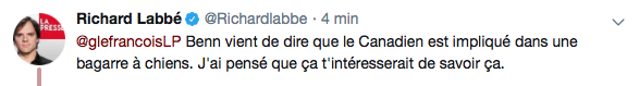 Le CH impliqué dans une bagarre à chiens ???