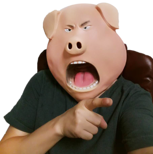 LE COCHON s'énerve....