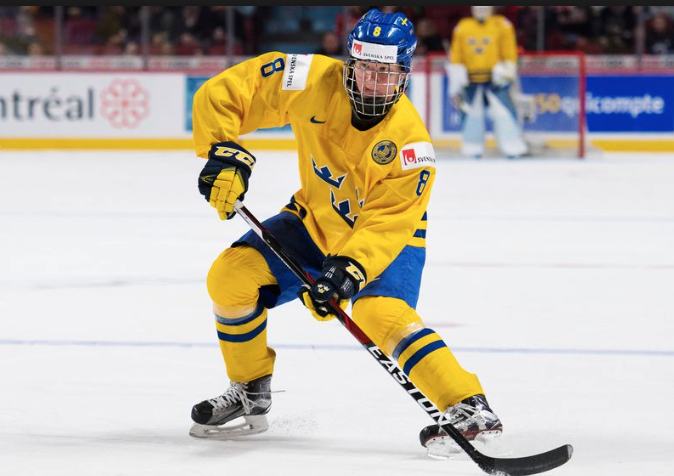 Le SNAKE SOUS-ESTIME Rasmus Dahlin...