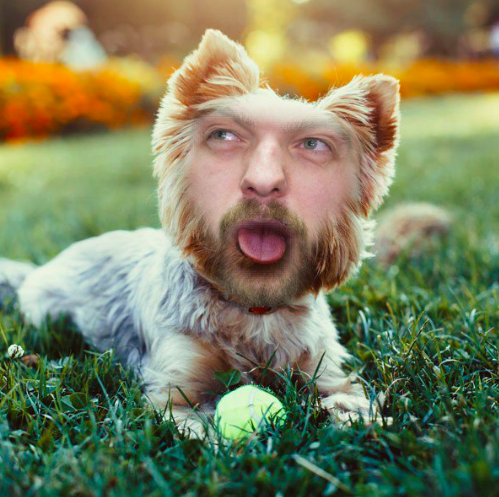 Les médias russes continuent de DÉFORMER les propos de Marc Bergevin, à savoir qu'il aurait comparé Alex Radulov et Andrei Markov à des CHIENS...