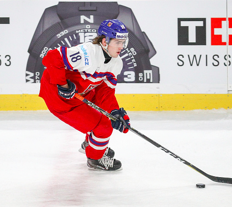 Les propos de Filip Zadina, qui se dit SUPÉRIEUR à Andrei Svechnikov ont aussi circulé en Caroline..