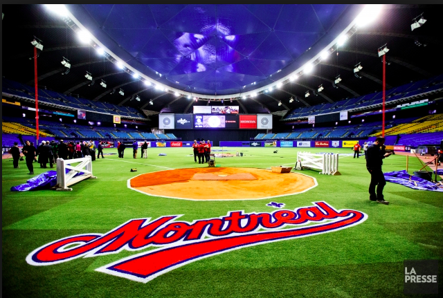 Les Rays de Tampa Bay... À deux doigts de Montréal..