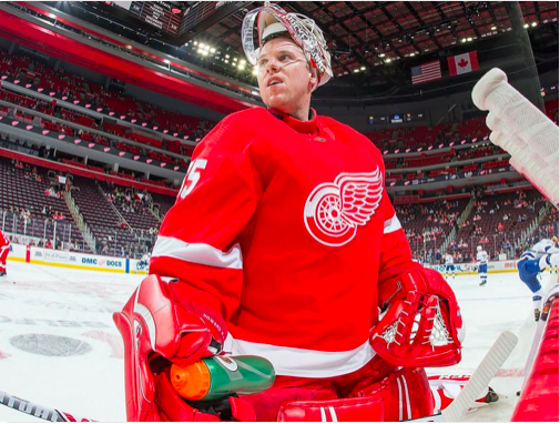 Les Red Wings sont SAOULS!!! Il veulent tout ça pour Jimmy Howard?????