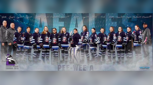 Qualifiées pour la finale, des hockeyeuses doivent céder leur place à une équipe masculine...