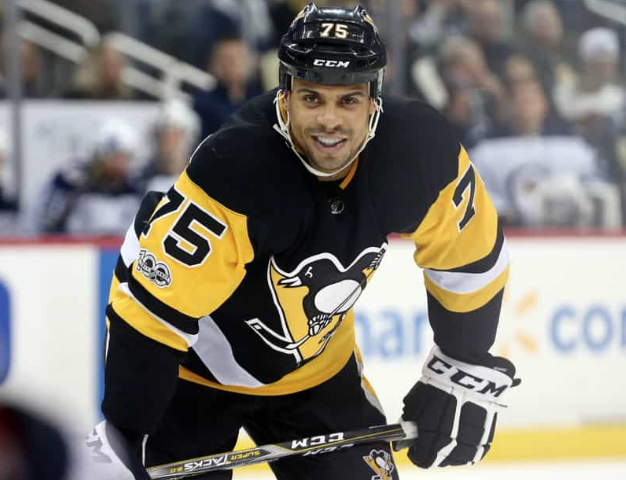 Ryan Reaves va ALLER CASSER des FACES à Vegas...
