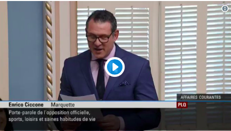Vidéo: CICCO le DÉPUTÉ...HAHA!!!!
