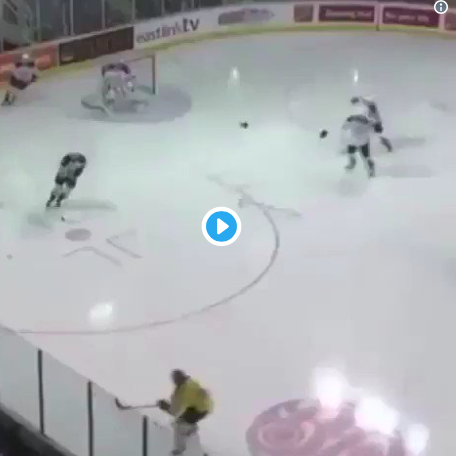 Vidéo: Voici la PLUS BELLE FIGHT de l'HISTOIRE du hockey...