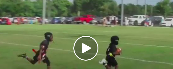 Vidéo: WOW...Les Alouettes doivent appeler ce petit...