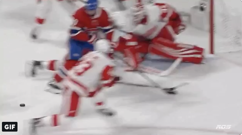 WOW...Quel jeu de Tomas Tatar !!!