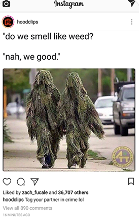 Zach Fucale FUME du WEED?????