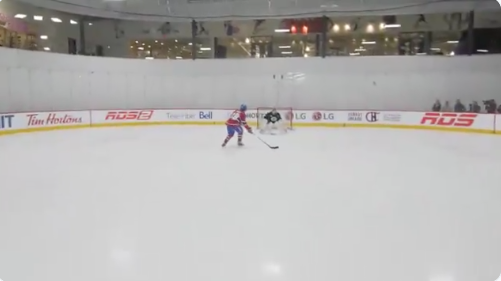 Il devrait songer à un avenir dans le hockey...