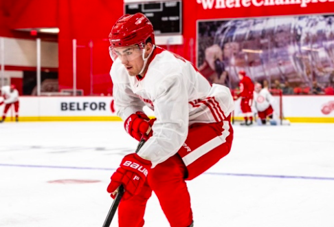 Rien ne va plus pour Filip Zadina....