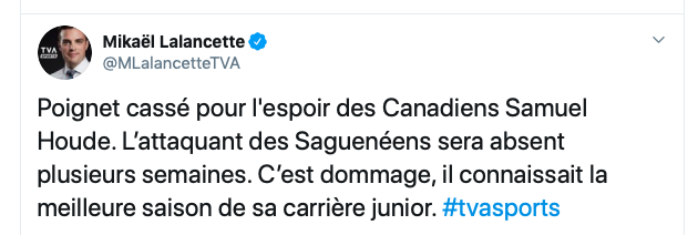 Samuel Houde se CASSE le POIGNET, Bergevin sera-t-il un BON JACK?