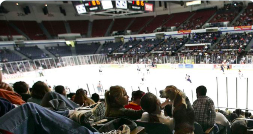 La ECHL ANNULÉE...