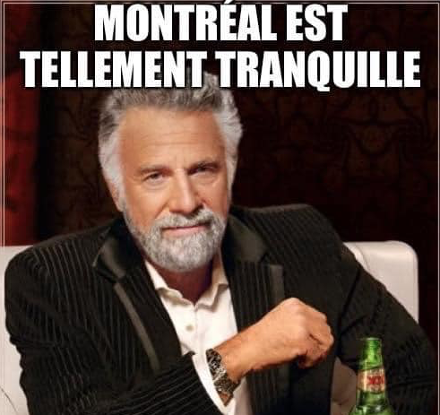 Québec HUMILIÉ par Montréal sur la TOILE....