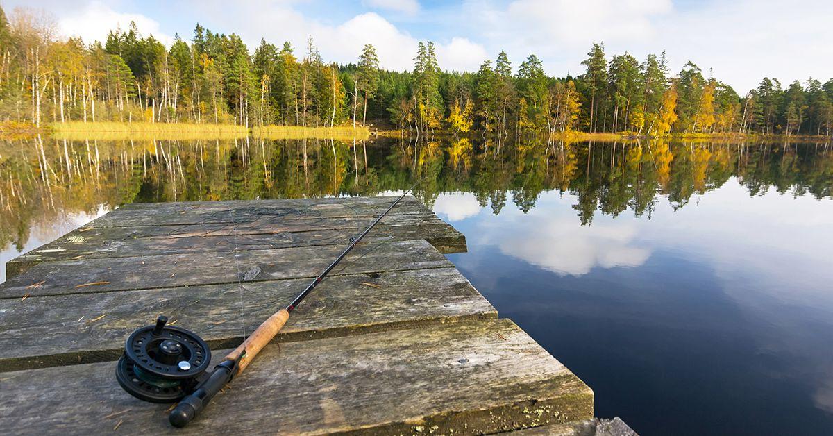 Les PÊCHEURS sont en TABARN....