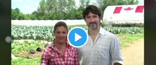 Justin et Sophie Trudeau, des ÉCHANGISTSE bientôt DIVORCÉS...