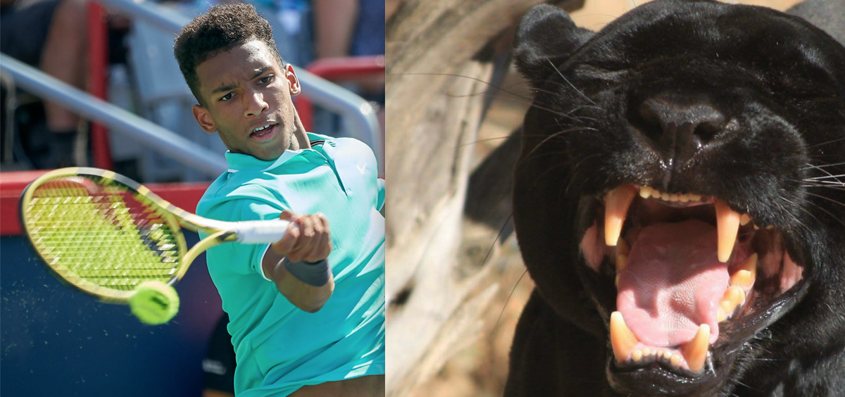 Vidéo: Félix Auger-Aliassime est rendu un BAD ASS....