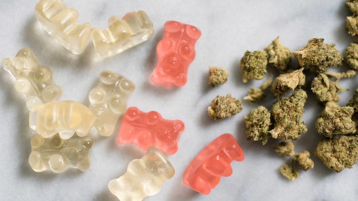 Des GUMMIES au CANNABIS à PROFUSION...dans la BULLE...