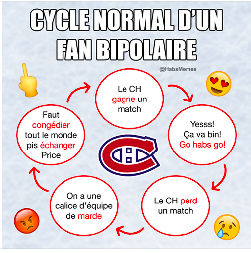 Le CYCLE du FEFAN BIPOLAIRE...