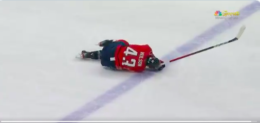 Le KARMA a FRAPPÉ Tom Wilson...