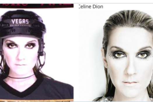 Céline Dion tente de CALMER le SCANDALE...