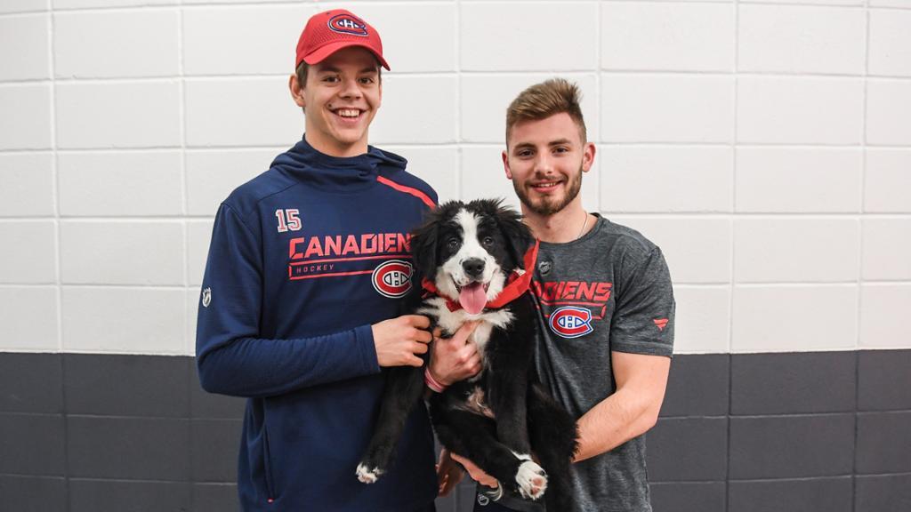 Dominique Ducharme traite Jesperi Kotkaniemi et Victor Mete de DEUX de PIQUE!!!