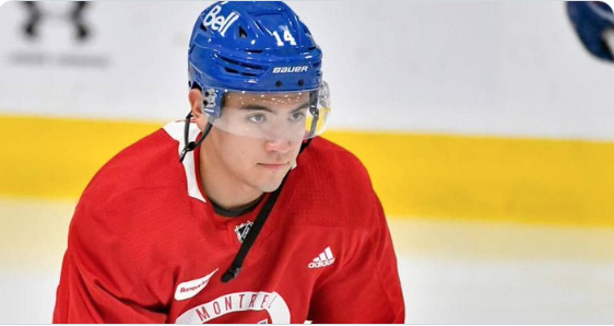 Nick Suzuki regarde ce qui se passe à Ottawa...