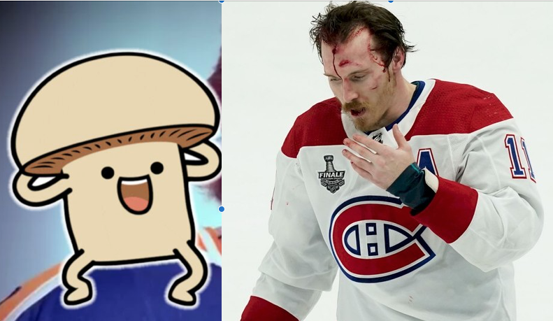 Des CHAMPIGNONS MAGIQUES pour Brendan Gallagher?