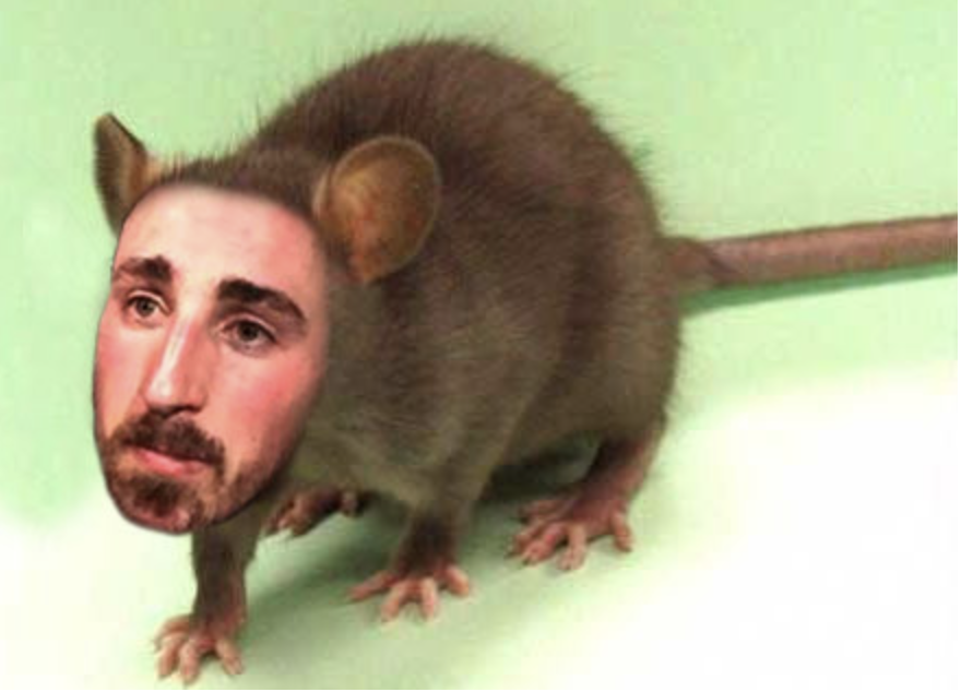 Le RAT ne sait plus comment PATINER