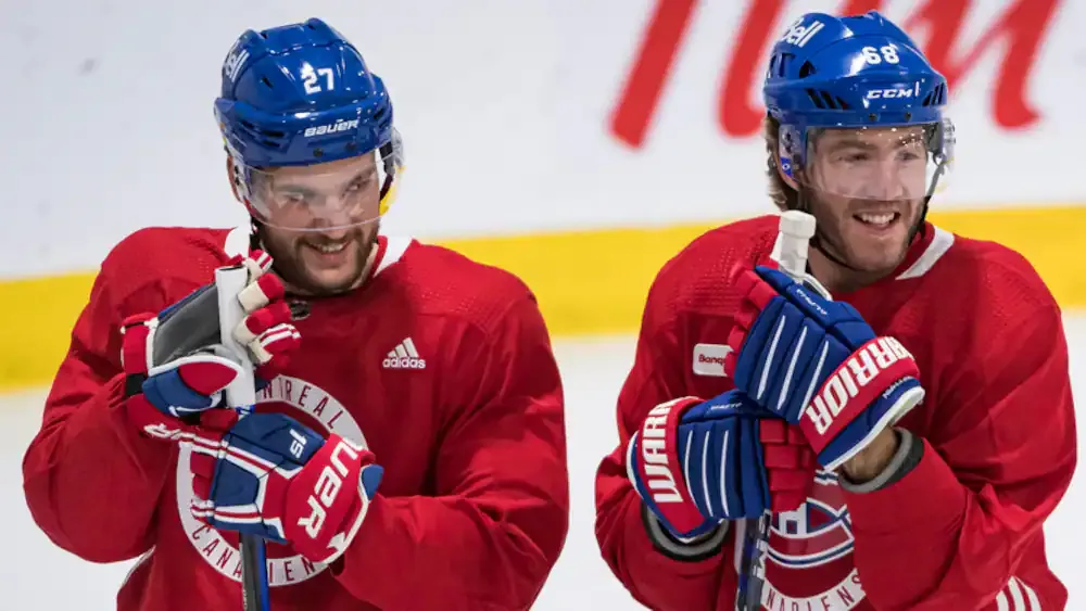 Le BOIS MORT du Canadien de Montréal...