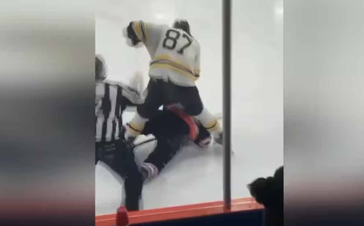 Vidéo: Donald Brashear passe proche de TUER sa victime...