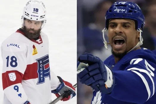 Correction en règle: Ryan Reaves perd la face