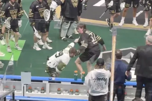 Bagarre à mains nues: âmes sensible, s'abstenir