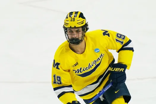 Coeur brisé: Michael Hage disparaît au pire moment