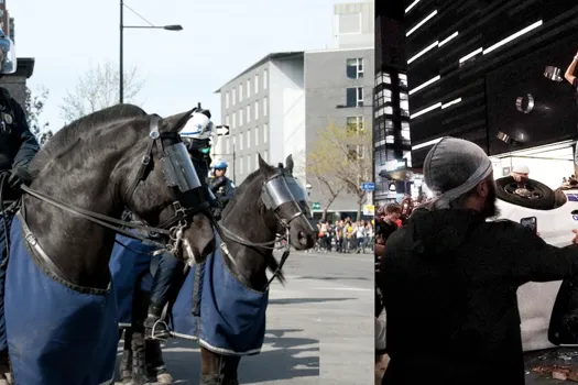 Chevaux de la police: les fans du CH perdent patience