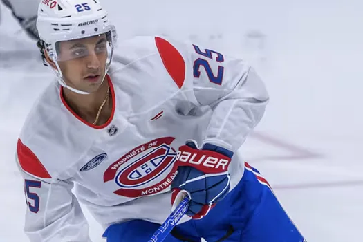 Divorce entre Michael Hage et les Canadiens de Montréal: le pire scénario possible